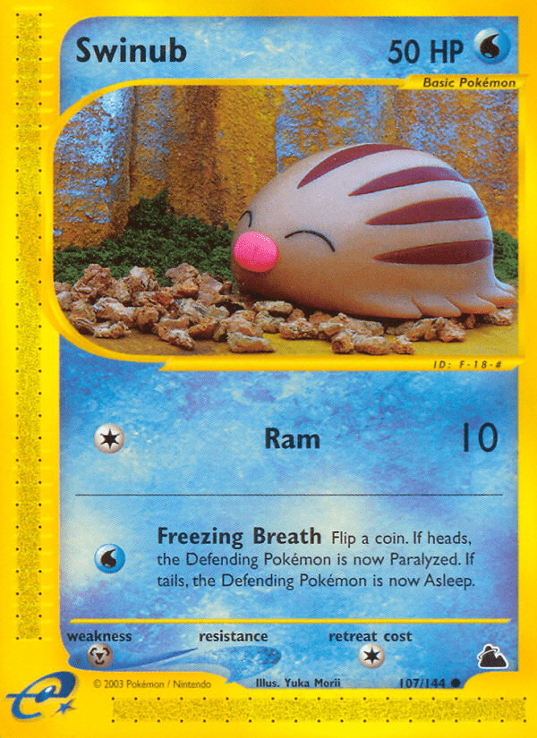 Swinub - 107