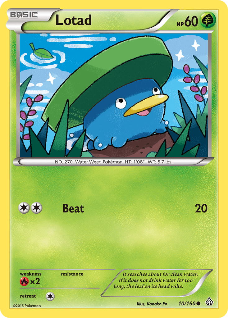 Lotad - 10