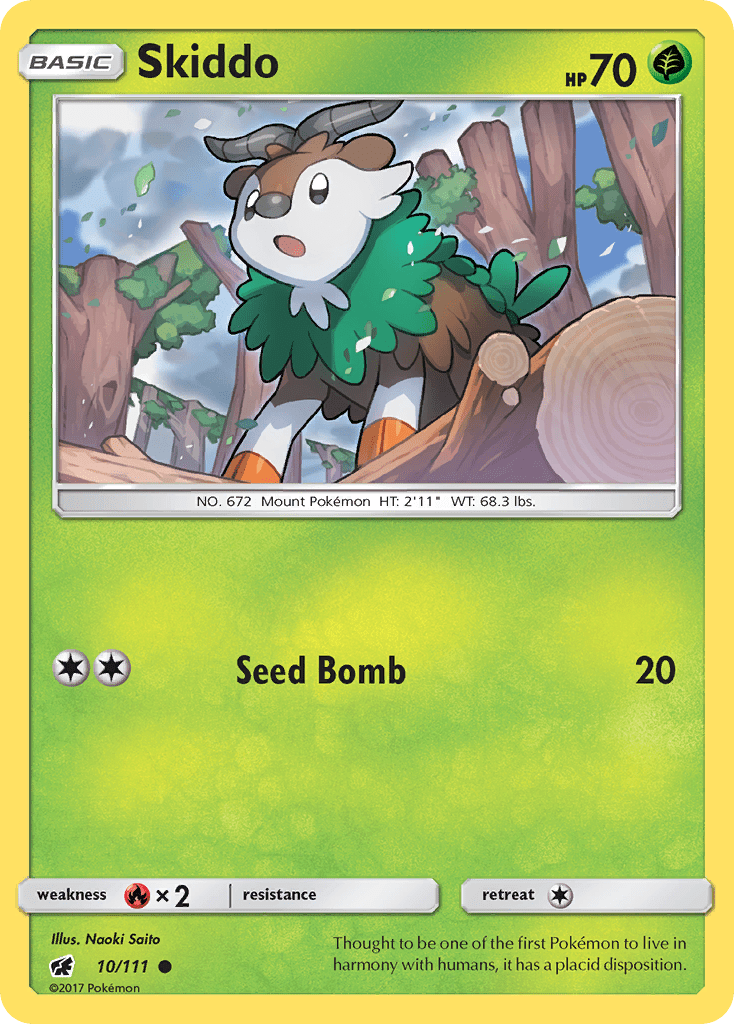 Skiddo - 10