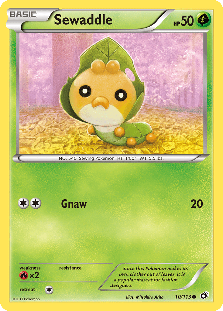 Sewaddle - 10