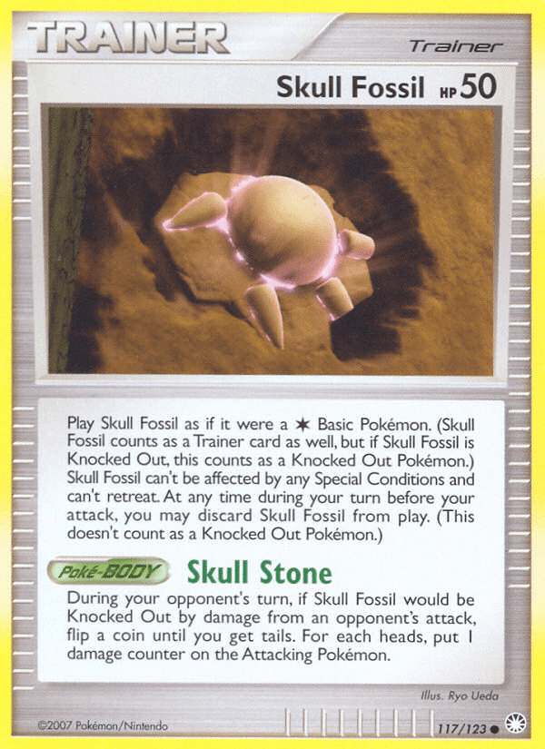 Skull Fossil - 117