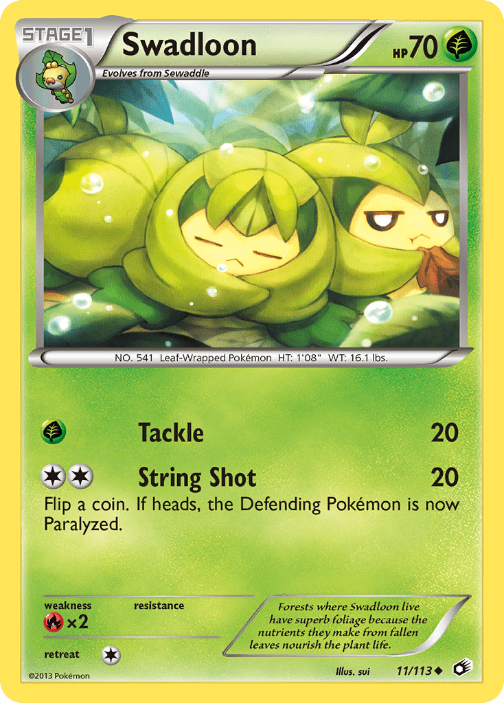 Swadloon - 11