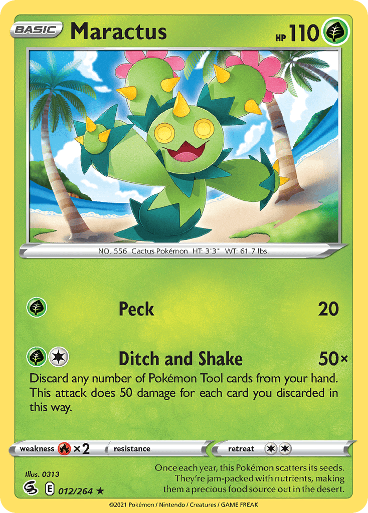 Maractus - 12