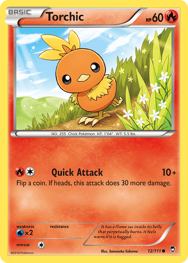 Torchic - 12