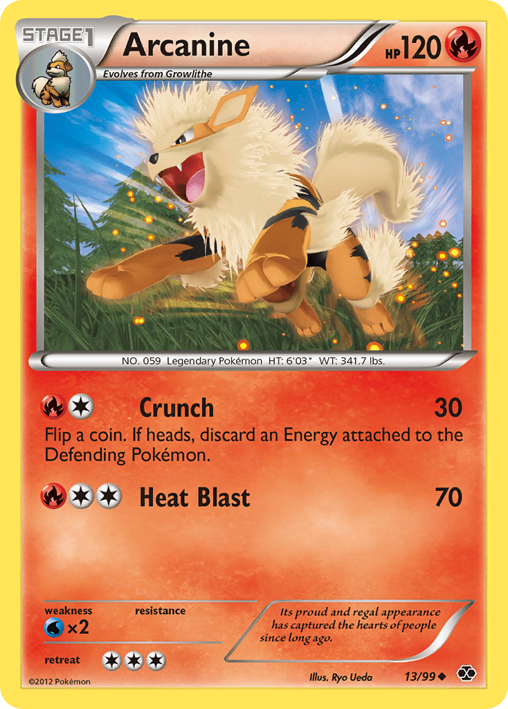 Arcanine - 13