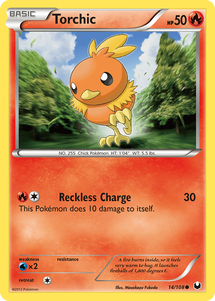 Torchic - 14