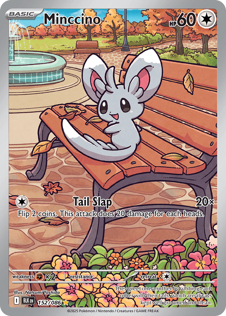 Minccino - 152