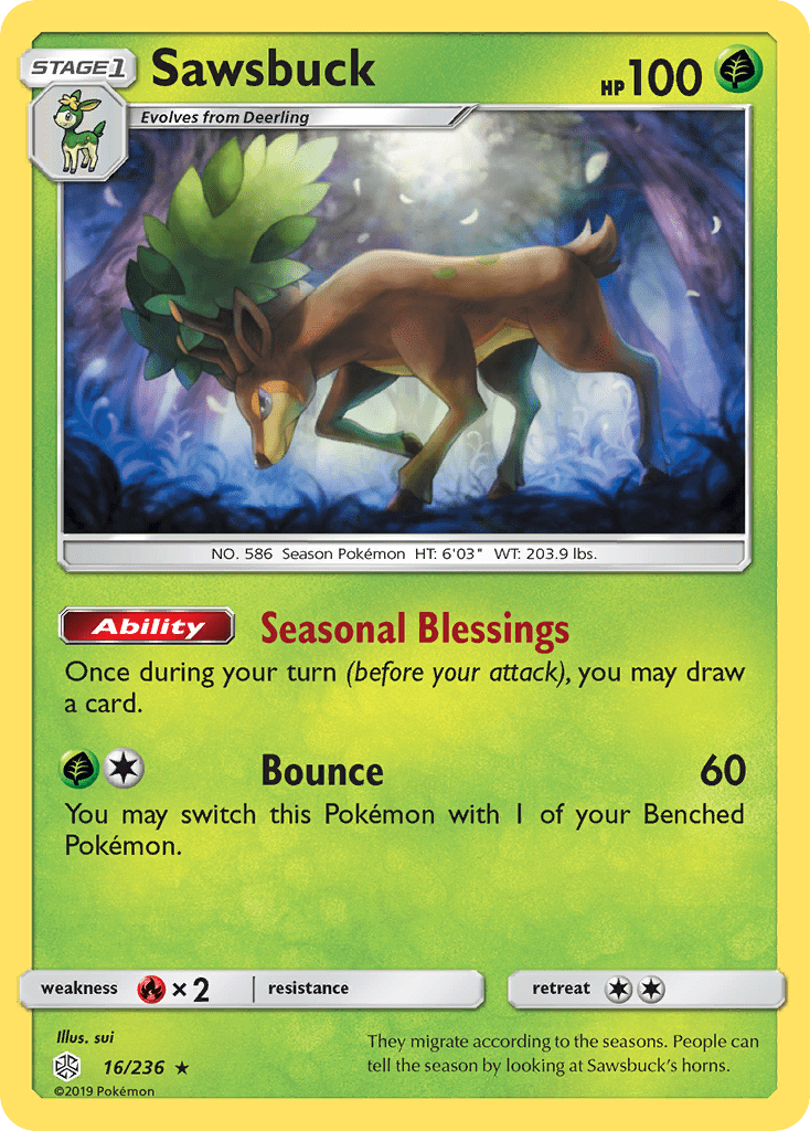 Sawsbuck - 16