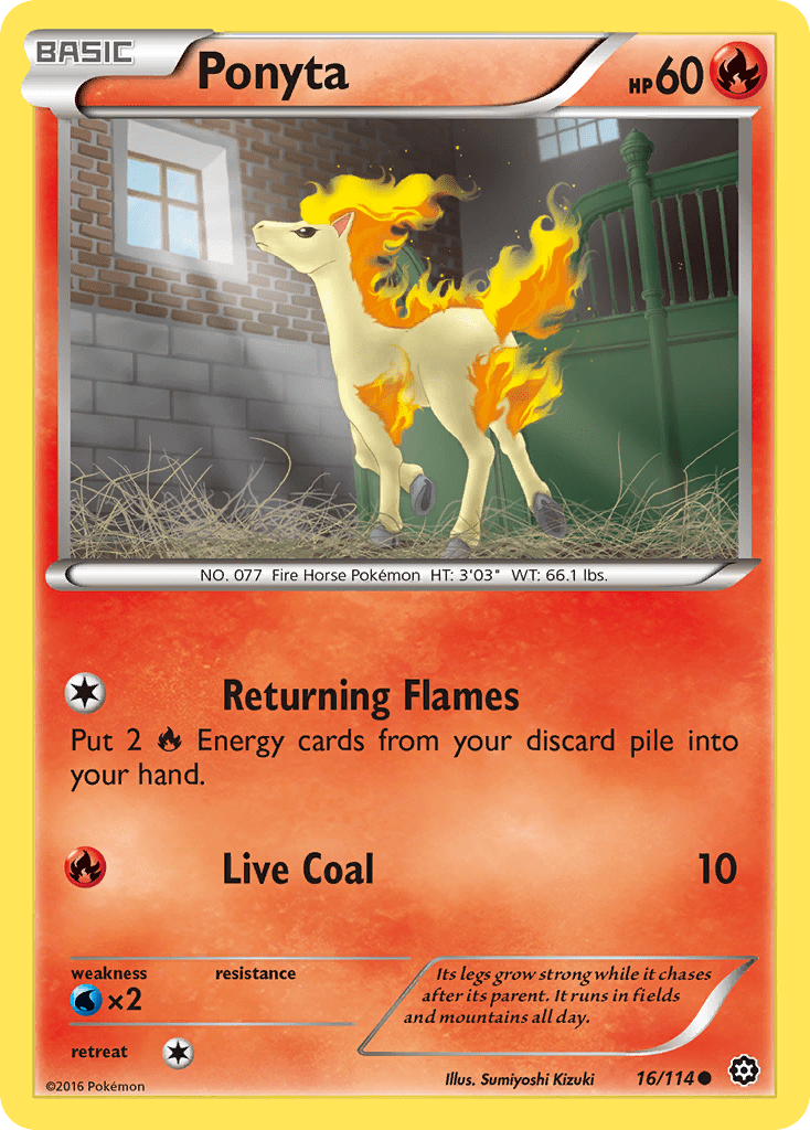 Ponyta - 16