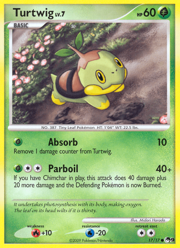 Turtwig - 17
