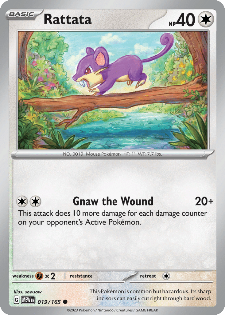 Rattata - 19