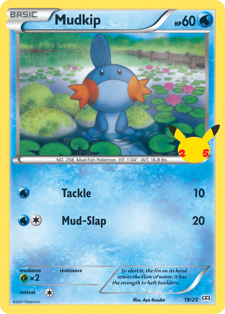 Mudkip - 19