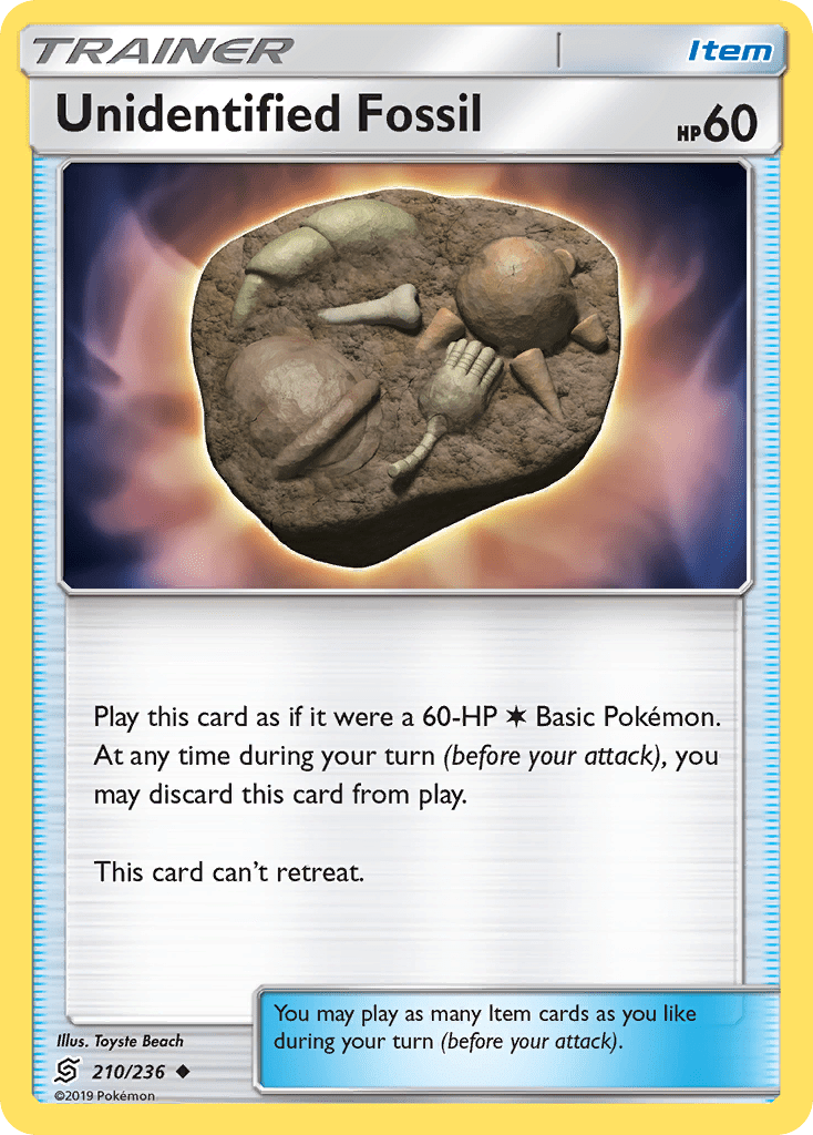 Unidentified Fossil - 210