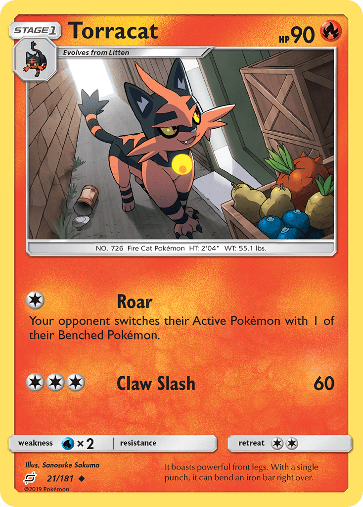 Torracat - 21