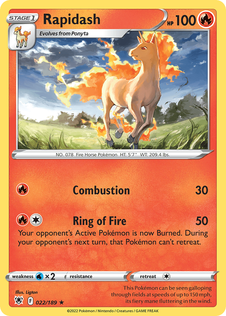 Rapidash - 22