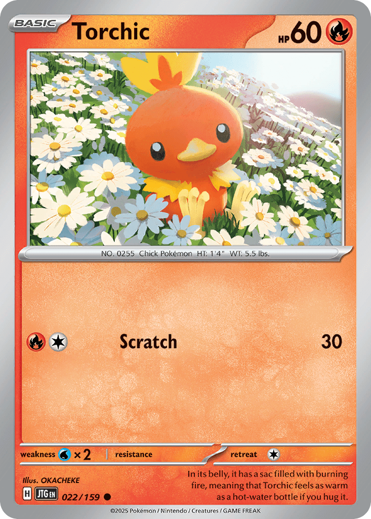 Torchic - 22