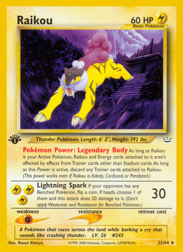 Raikou - 22