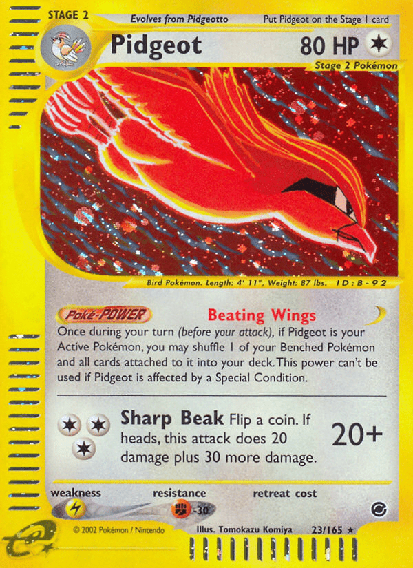 Pidgeot - 23