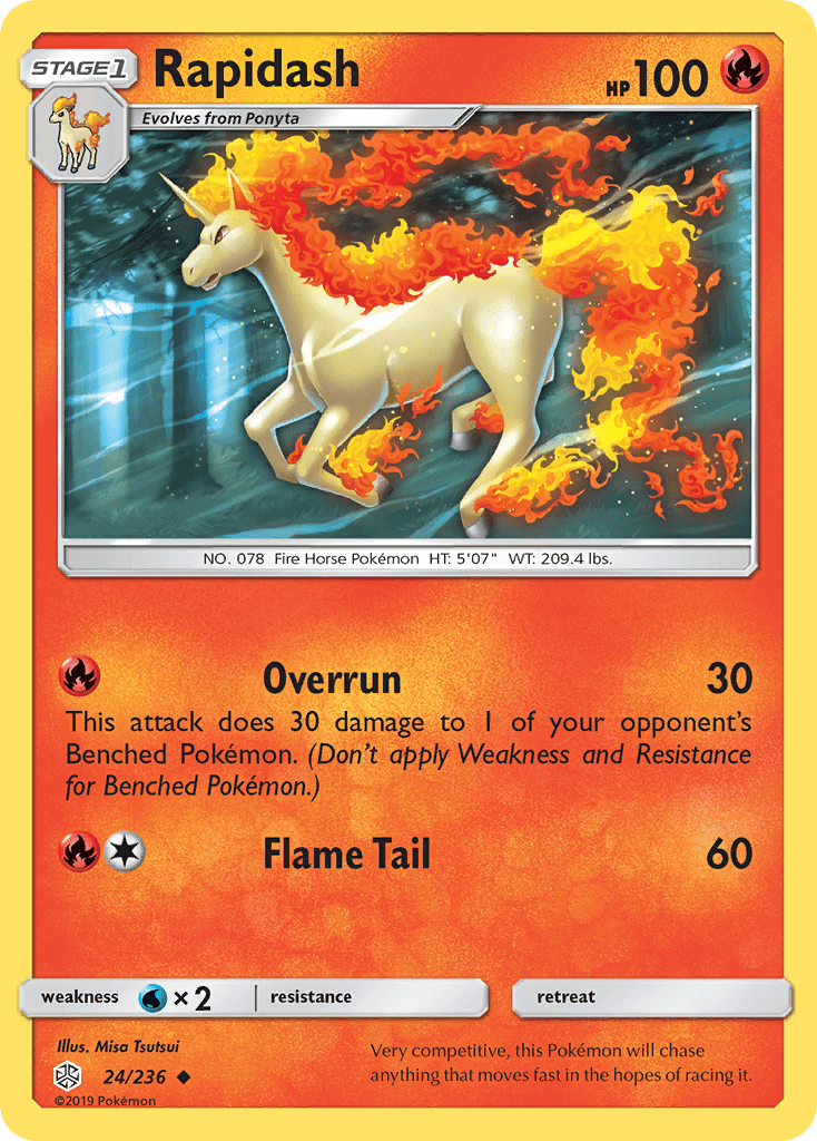 Rapidash - 24