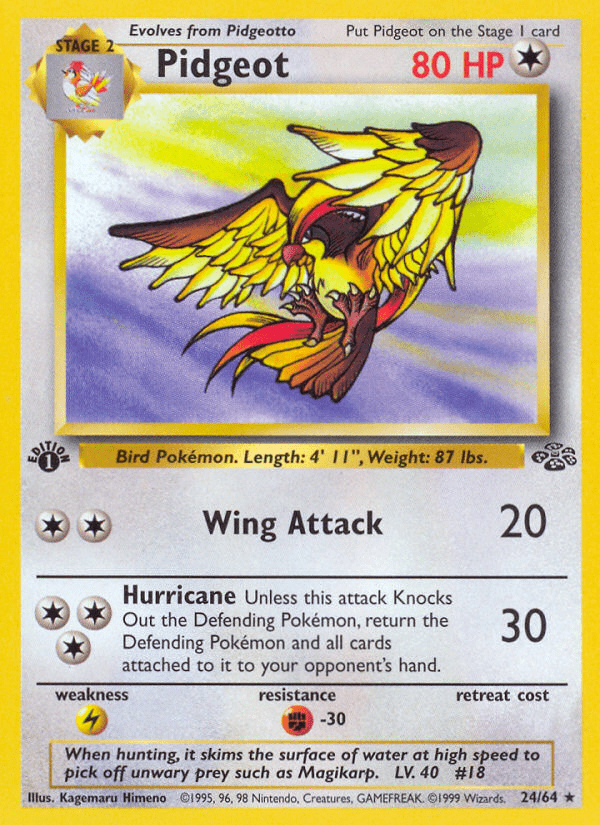 Pidgeot - 24