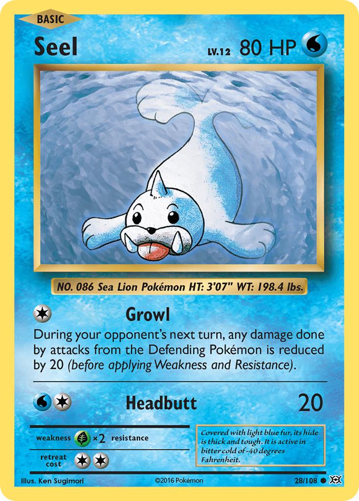 Seel - 28