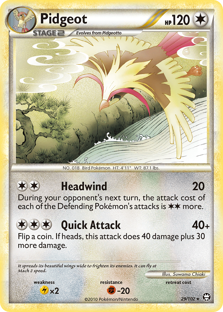Pidgeot - 29