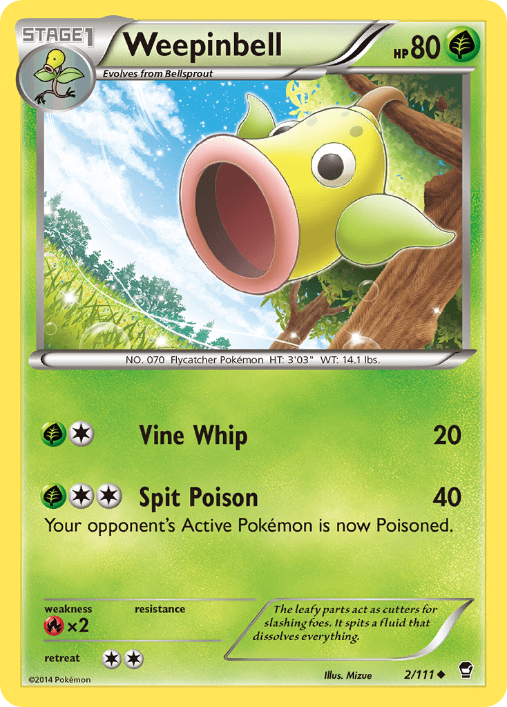 Weepinbell - 2