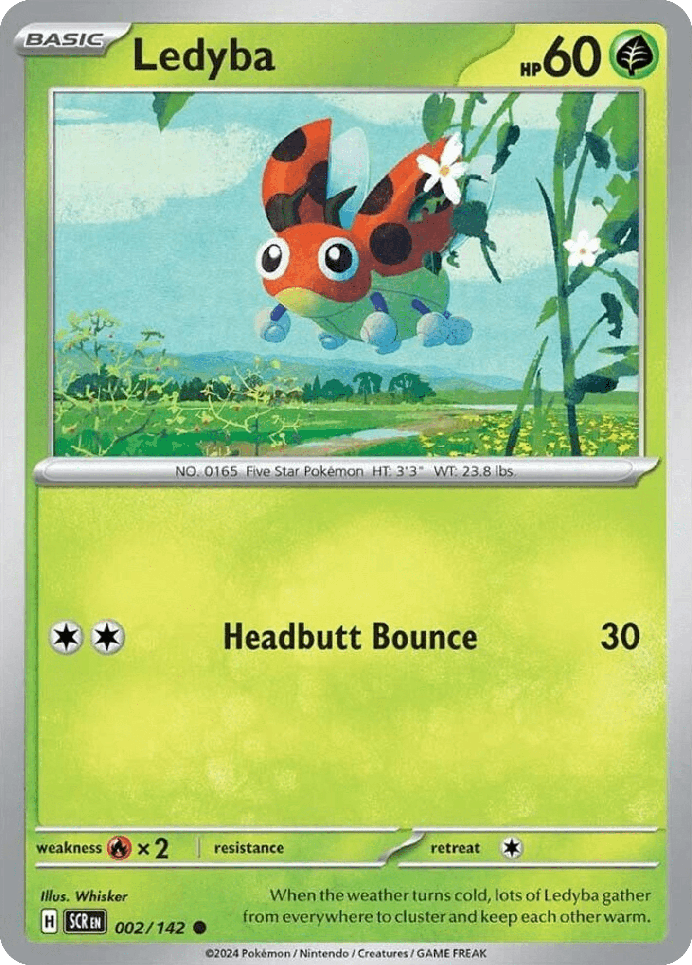 Ledyba - 2