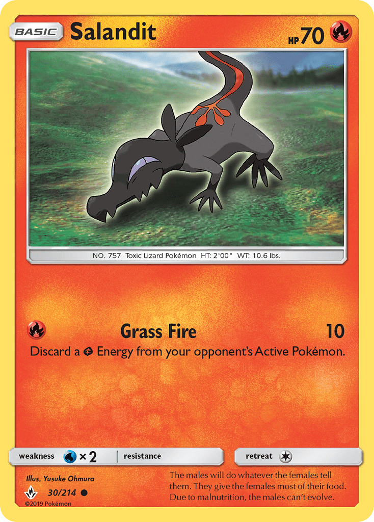 Salandit - 30
