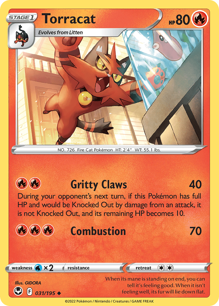 Torracat - 31