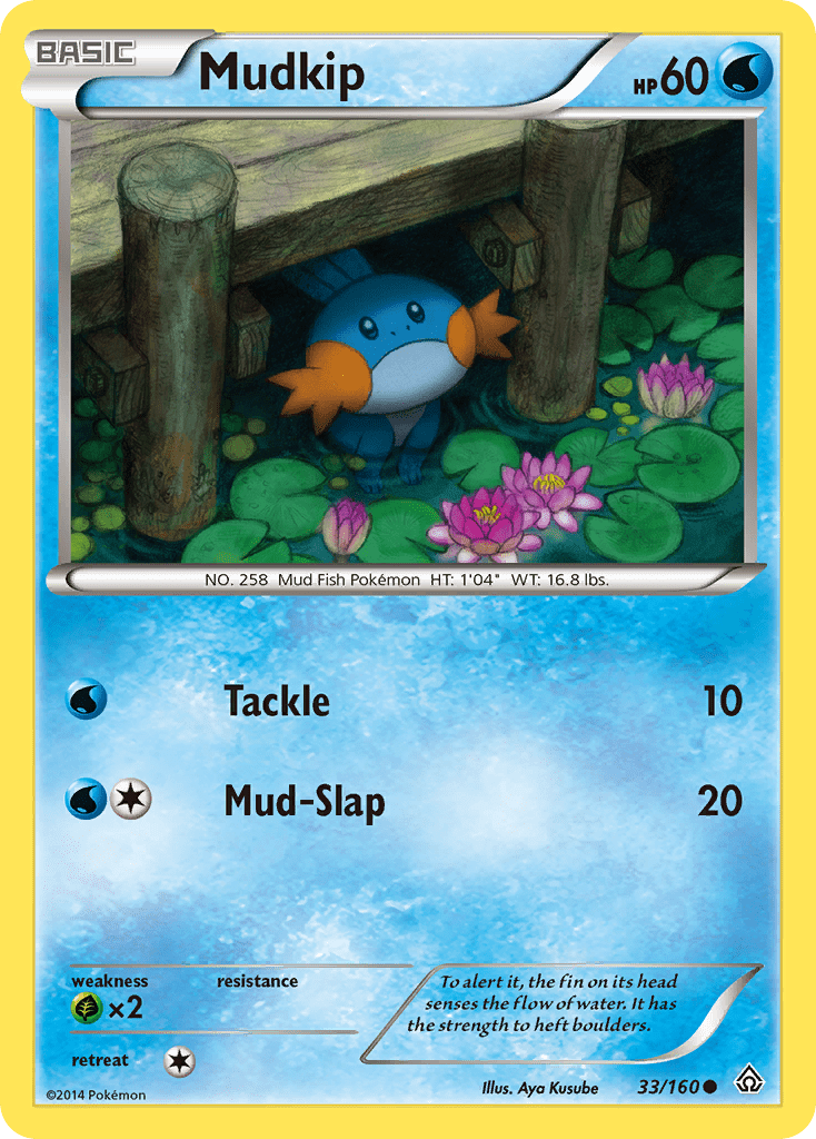 Mudkip - 33