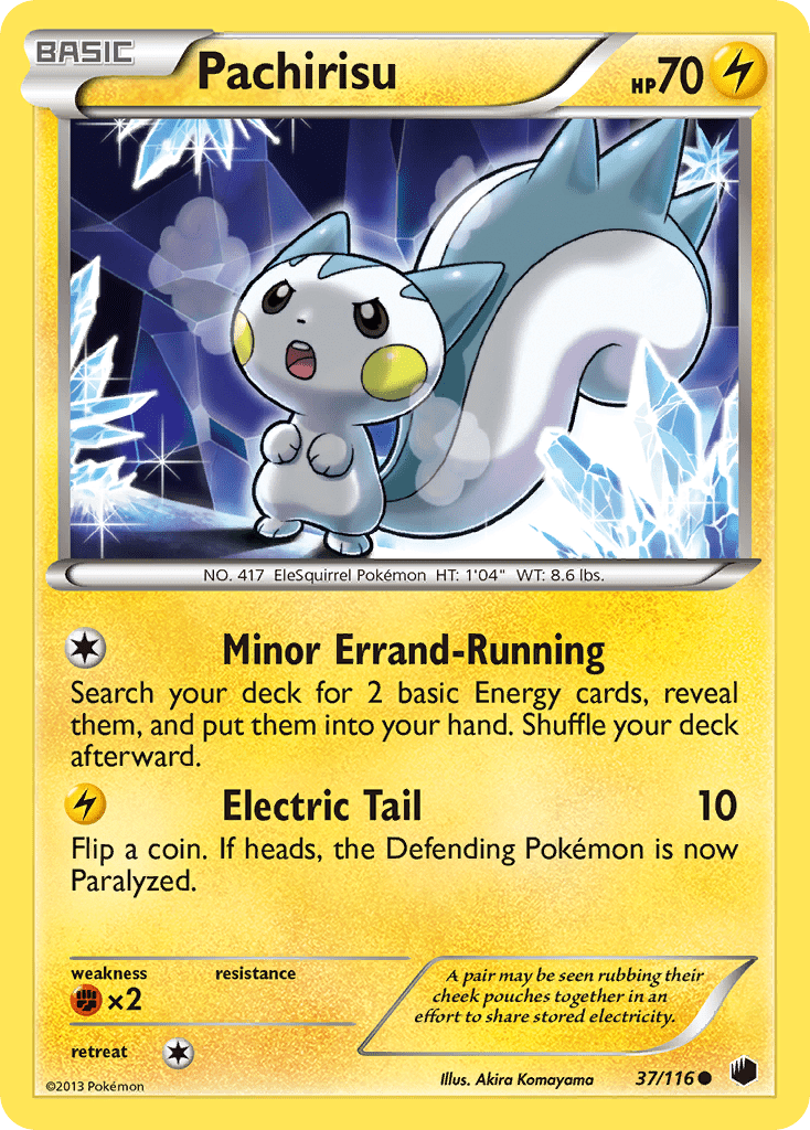 Pachirisu - 37