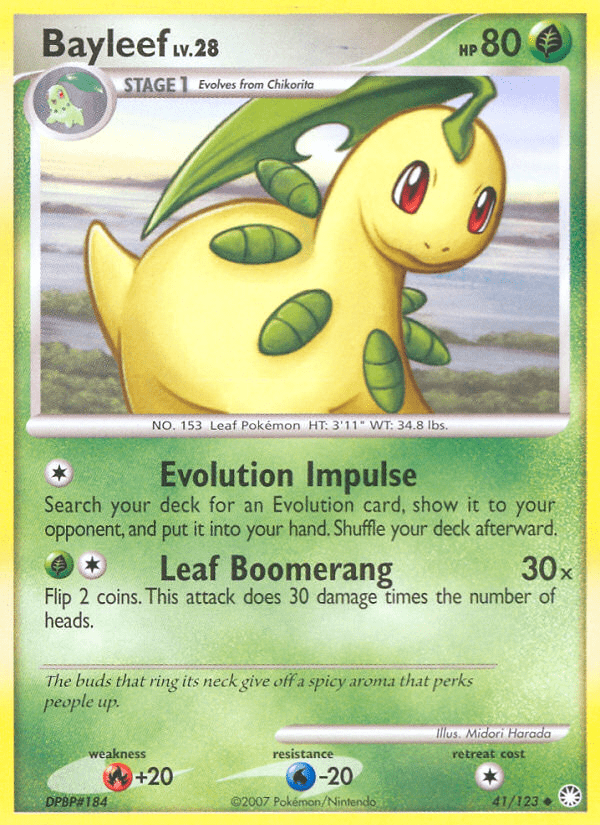 Bayleef - 41