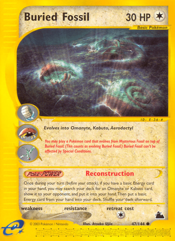 Buried Fossil - 47