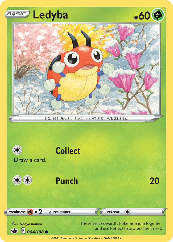 Ledyba - 4