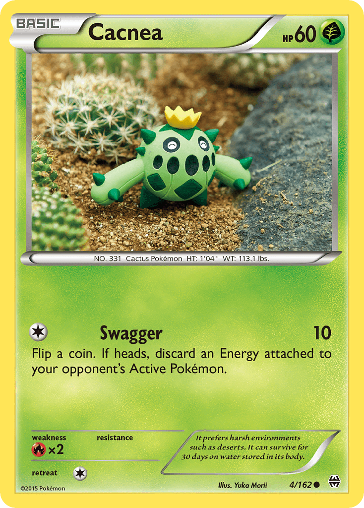 Cacnea - 4