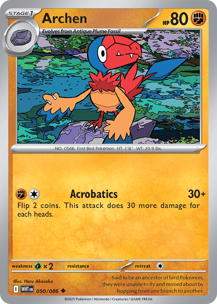 Archen - 50