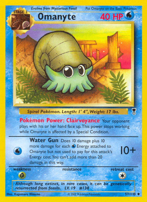 Omanyte - 57