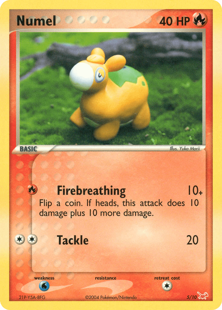 Numel - 5
