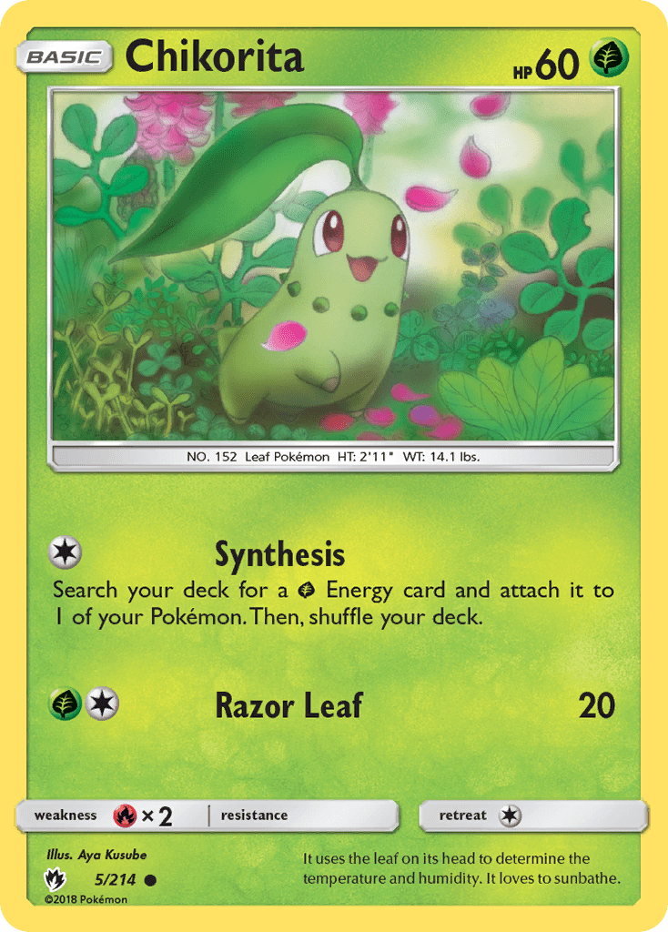 Chikorita - 5