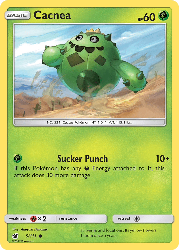 Cacnea - 5