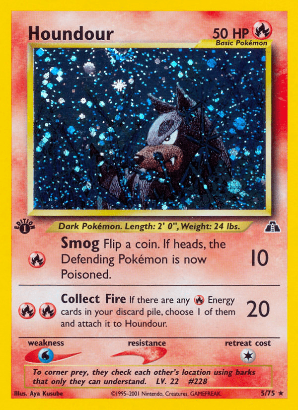 Houndour - 5