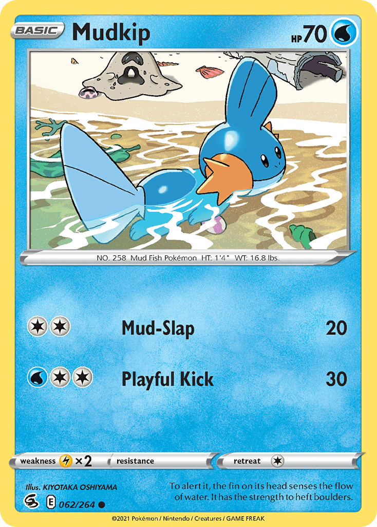 Mudkip - 62