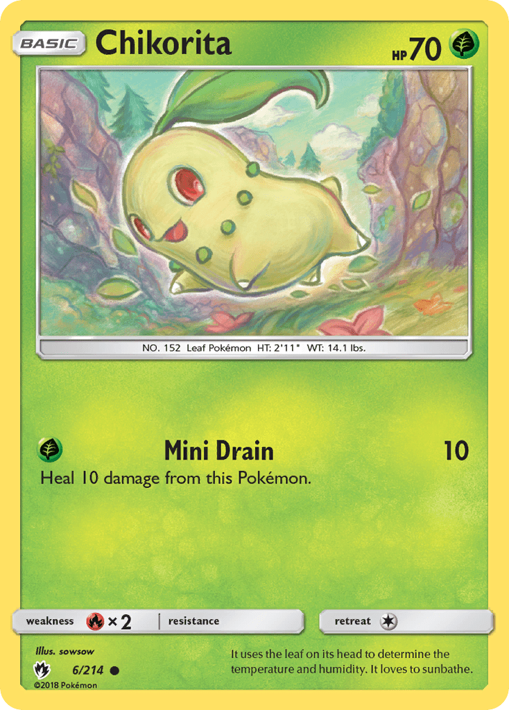 Chikorita - 6