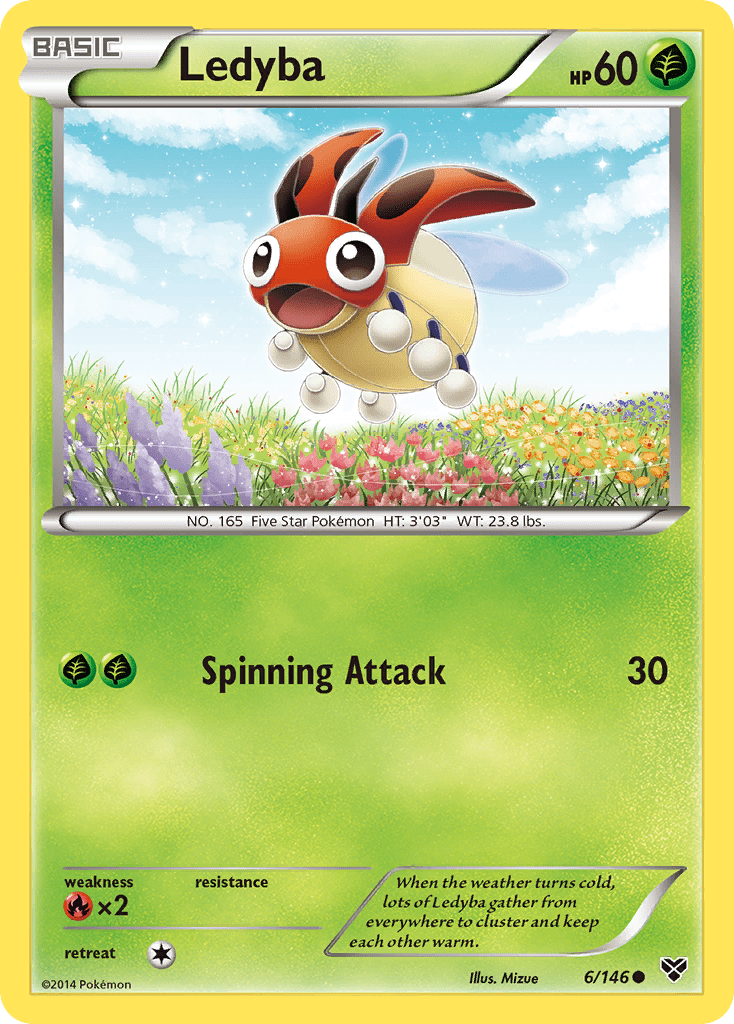 Ledyba - 6