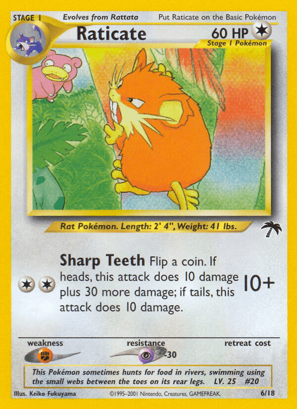 Raticate - 6