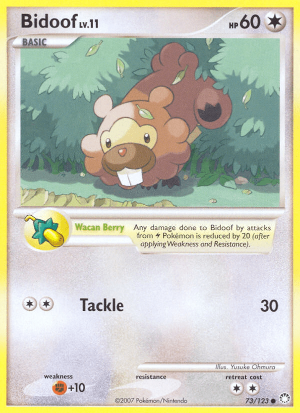 Bidoof - 73