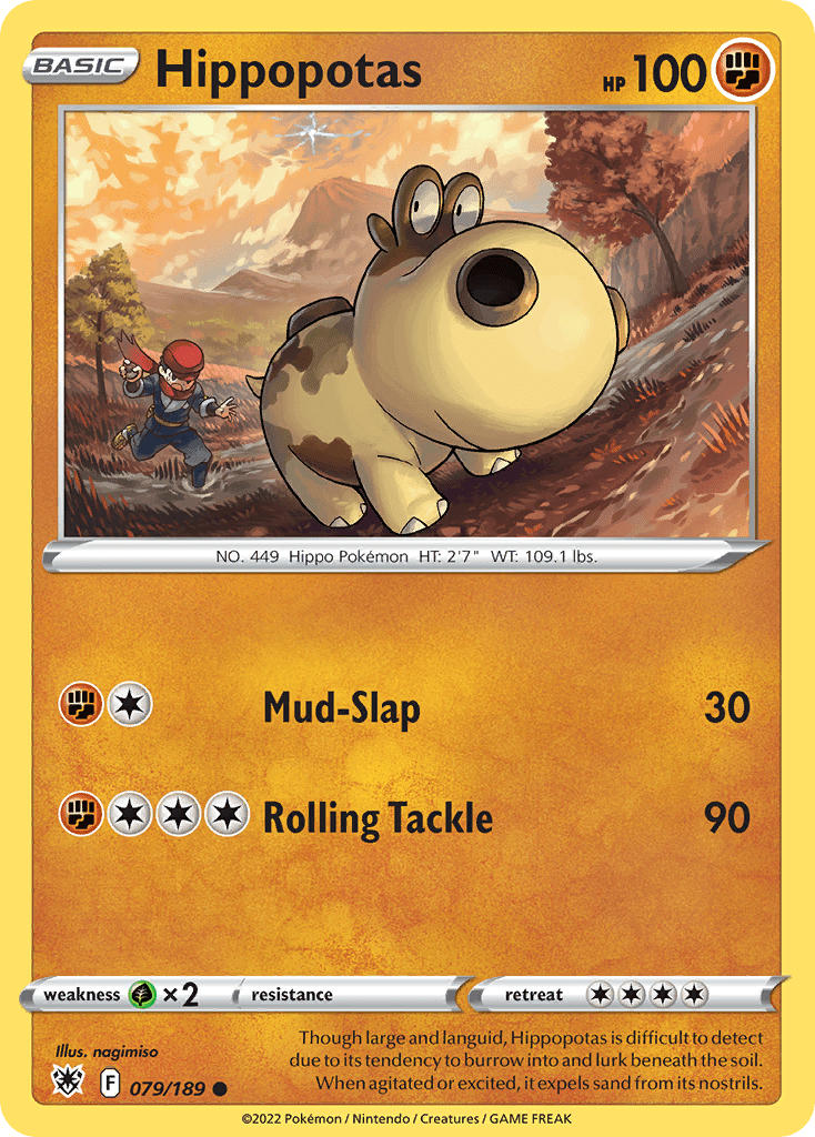 Hippopotas - 79
