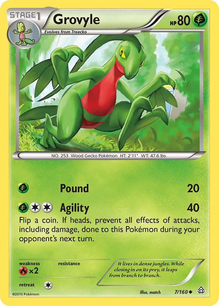 Grovyle - 7