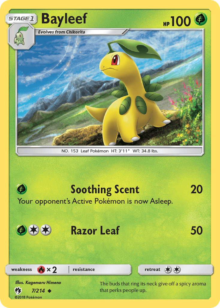 Bayleef - 7